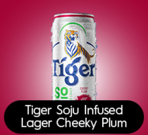 Tiger | Hapbev Corporate Web